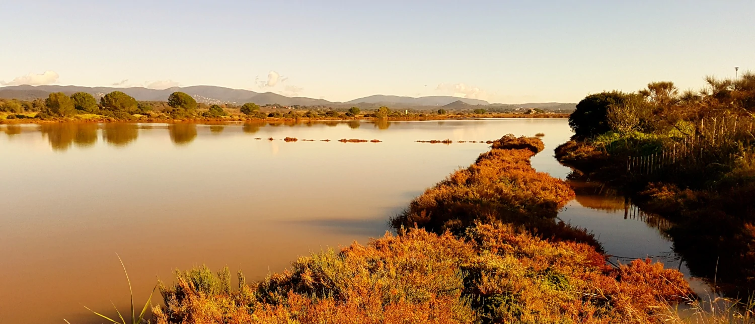 Salins