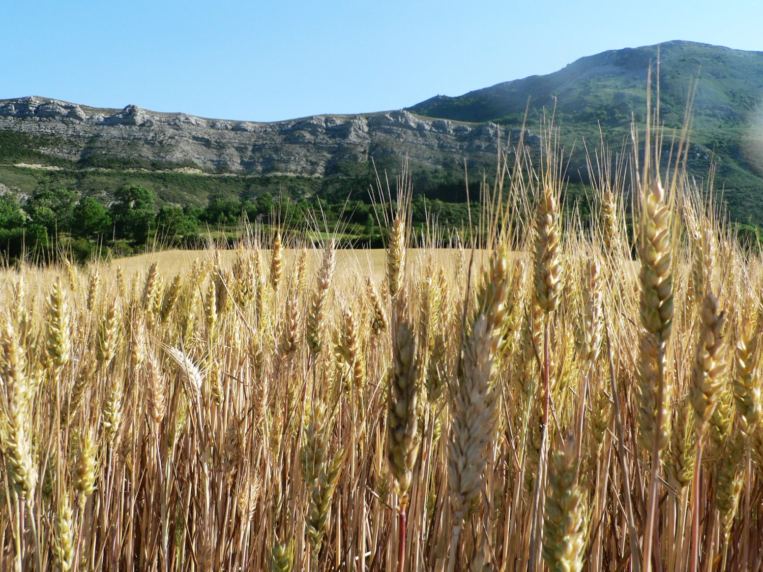Village provençal